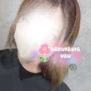 ヒメ日記 2025/07/14 02:20 投稿 はう Sakura Spa