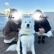 ヒメ日記 2026/01/15 19:30 投稿 はう Sakura Spa