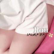 ヒメ日記 2026/02/25 06:20 投稿 はう Sakura Spa