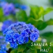 ヒメ日記 2026/05/22 15:00 投稿 はう Sakura Spa
