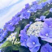 ヒメ日記 2026/06/19 16:20 投稿 はう Sakura Spa