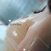 ヒメ日記 2026/07/01 07:50 投稿 はう Sakura Spa