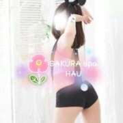 ヒメ日記 2026/07/24 07:21 投稿 はう Sakura Spa