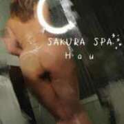 ヒメ日記 2026/10/05 12:20 投稿 はう Sakura Spa