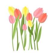 ヒメ日記 2025/04/20 01:33 投稿 ルナ クラブA