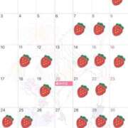 ヒメ日記 2025/02/22 13:42 投稿 Sanae Himuro ELEGANT－エレガント－