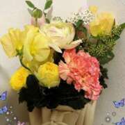 ヒメ日記 2025/02/25 22:46 投稿 Sanae Himuro ELEGANT－エレガント－