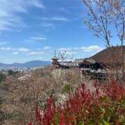 ヒメ日記 2025/04/01 17:44 投稿 Sanae Himuro ELEGANT－エレガント－