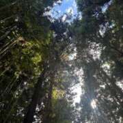 ヒメ日記 2025/09/14 21:51 投稿 Sanae Himuro ELEGANT－エレガント－