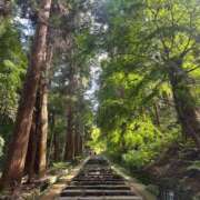 ヒメ日記 2025/10/19 02:31 投稿 Sanae Himuro ELEGANT－エレガント－