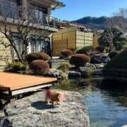 ヒメ日記 2026/01/24 21:31 投稿 Sanae Himuro ELEGANT－エレガント－