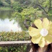 ヒメ日記 2026/04/28 22:02 投稿 Sanae Himuro ELEGANT－エレガント－
