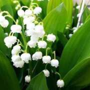 ヒメ日記 2026/05/22 22:35 投稿 Sanae Himuro ELEGANT－エレガント－