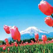 ヒメ日記 2026/05/22 23:30 投稿 Sanae Himuro ELEGANT－エレガント－