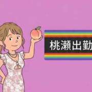 ヒメ日記 2026/08/13 12:16 投稿 桃瀬 あいか 高級出張性感マッサージ＆回春エステ セレブリフレ