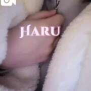 ヒメ日記 2025/01/23 21:55 投稿 はる THE ESUTE 五反田店