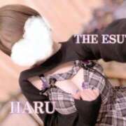 ヒメ日記 2025/02/03 08:40 投稿 はる THE ESUTE 五反田店