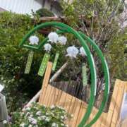 ヒメ日記 2025/09/23 14:34 投稿 香澄(カスミ) グランドオペラ名古屋