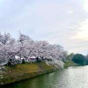 ヒメ日記 2025/03/31 19:01 投稿 めい 海上空天 SHANGHAI HEAVEN