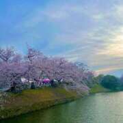 ヒメ日記 2025/04/05 21:09 投稿 めい 海上空天 SHANGHAI HEAVEN