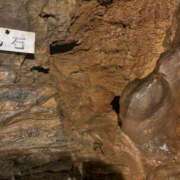 ヒメ日記 2025/07/07 22:42 投稿 みのり 熟女の風俗最終章 新宿店