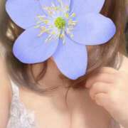 ヒメ日記 2026/02/19 23:15 投稿 みのり 熟女の風俗最終章 新宿店