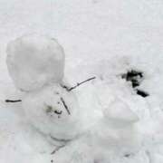 ヒメ日記 2025/02/08 07:49 投稿 CHOCO『チョコ』 GG