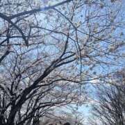 ヒメ日記 2025/04/05 07:49 投稿 CHOCO『チョコ』 GG