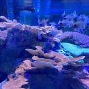 ヒメ日記 2025/06/20 07:09 投稿 CHOCO『チョコ』 GG