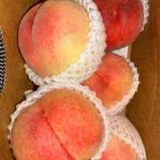 ヒメ日記 2025/07/10 19:49 投稿 CHOCO『チョコ』 GG