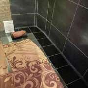 ヒメ日記 2025/02/06 20:23 投稿 しおり フェアリードール