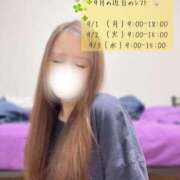 ヒメ日記 2025/09/01 00:44 投稿 プレミアゆうひ【奇跡の美女降臨】 LIPS(リップス)