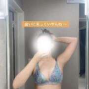 ヒメ日記 2025/11/19 17:07 投稿 プレミアゆうひ【奇跡の美女降臨】 LIPS(リップス)