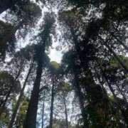 ヒメ日記 2026/03/01 21:40 投稿 プレミアゆうひ【奇跡の美女降臨】 LIPS(リップス)