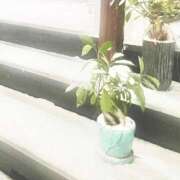 ヒメ日記 2025/01/10 10:20 投稿 特プレミアうみ【唯一無二の存在】 LIPS(リップス)