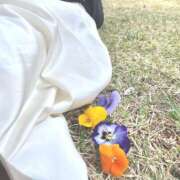 ヒメ日記 2025/03/29 18:31 投稿 特プレミアうみ【唯一無二の存在】 LIPS(リップス)