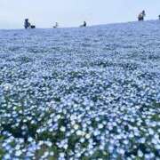 ヒメ日記 2025/04/28 16:26 投稿 特プレミアうみ【唯一無二の存在】 LIPS(リップス)