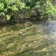 ヒメ日記 2025/07/06 14:12 投稿 えりか【性感】 性感エステBianca豊中店