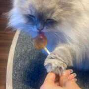 ヒメ日記 2026/04/08 22:27 投稿 えりか【性感】 性感エステBianca豊中店