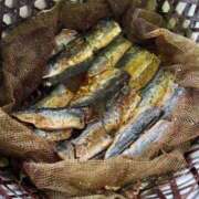 ヒメ日記 2025/05/27 08:26 投稿 こうみ 即トク奥さん