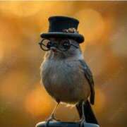 ヒメ日記 2025/06/13 10:05 投稿 こうみ 即トク奥さん