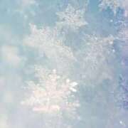 ヒメ日記 2025/12/11 17:10 投稿 こうみ 即トク奥さん