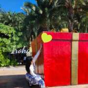 ヒメ日記 2024/12/23 12:36 投稿 水嶋 いろは HANA-okinawa-