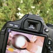 ヒメ日記 2025/10/04 18:59 投稿 ひらり 博多美人妻