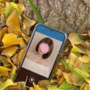 ヒメ日記 2025/10/14 00:09 投稿 ひらり 博多美人妻