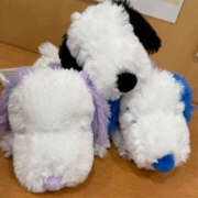 ヒメ日記 2025/05/23 07:34 投稿 くいな ハピネス東京