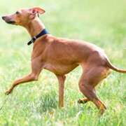 ヒメ日記 2025/11/15 10:50 投稿 くいな ハピネス東京