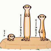 くいな 🥶 ハピネス東京