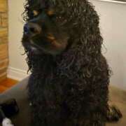 ヒメ日記 2025/07/05 07:53 投稿 高嶋玲 プレジデントハウス