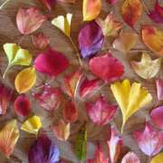 高嶋玲 上も下も綺麗。 プレジデントハウス